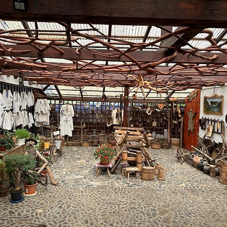 ホテル Casa Vlad Haţeg エクステリア 写真